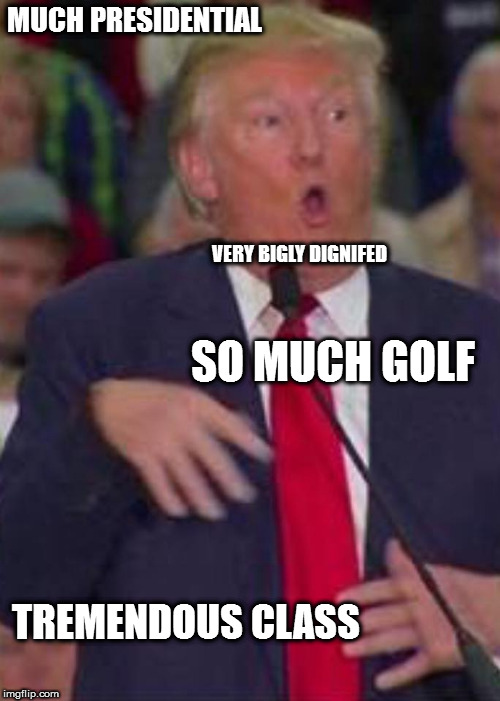trump derp | MUCH PRESIDENTIAL; VERY BIGLY DIGNIFED; SO MUCH GOLF; TREMENDOUS CLASS | image tagged in trump derp,donald trump,trump | made w/ Imgflip meme maker