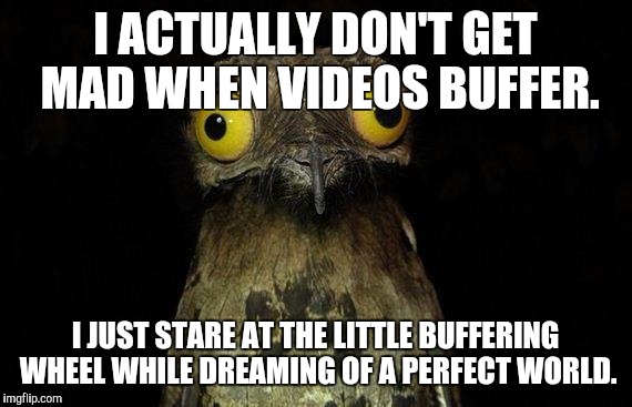 A whole new world. | I ACTUALLY DON'T GET MAD WHEN VIDEOS BUFFER. I JUST STARE AT THE LITTLE BUFFERING WHEEL WHILE DREAMING OF A PERFECT WORLD. | image tagged in memes,weird stuff i do potoo | made w/ Imgflip meme maker
