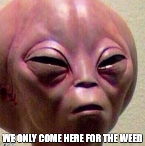 weed | WE ONLY COME HERE FOR THE WEED | image tagged in alien | made w/ Imgflip meme maker