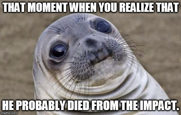 THAT MOMENT WHEN YOU REALIZE THAT HE PROBABLY DIED FROM THE IMPACT. | image tagged in memes,awkward moment sealion | made w/ Imgflip meme maker