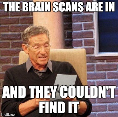 Maury Lie Detector | THE BRAIN SCANS ARE IN; AND THEY COULDN'T FIND IT | image tagged in memes,maury lie detector | made w/ Imgflip meme maker