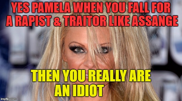 Pamela Anderson | YES PAMELA WHEN YOU FALL FOR A RAPIST & TRAITOR LIKE ASSANGE; THEN YOU REALLY ARE AN IDIOT | image tagged in pamela anderson | made w/ Imgflip meme maker