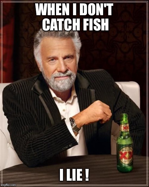 The Most Interesting Man In The World Meme | WHEN I DON'T CATCH FISH; I LIE ! | image tagged in memes,the most interesting man in the world | made w/ Imgflip meme maker