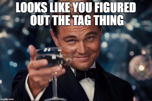 Leonardo Dicaprio Cheers Meme | LOOKS LIKE YOU FIGURED OUT THE TAG THING | image tagged in memes,leonardo dicaprio cheers | made w/ Imgflip meme maker
