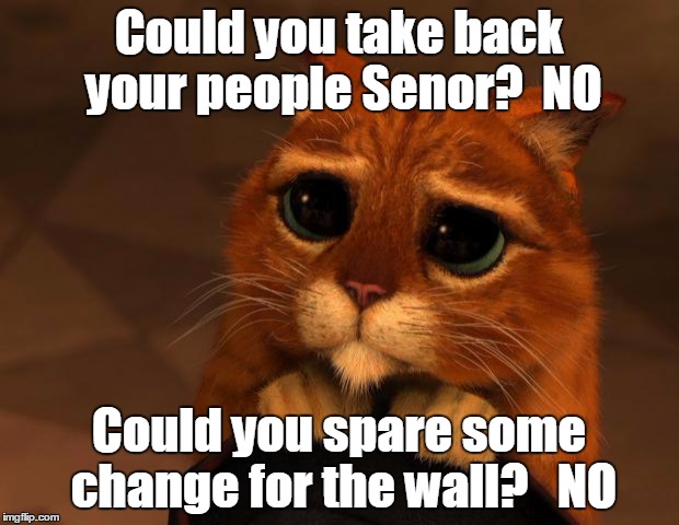 puss in boots eyes |  Could you take back your people Senor?  NO; Could you spare some change for the wall?   NO | image tagged in puss in boots eyes | made w/ Imgflip meme maker