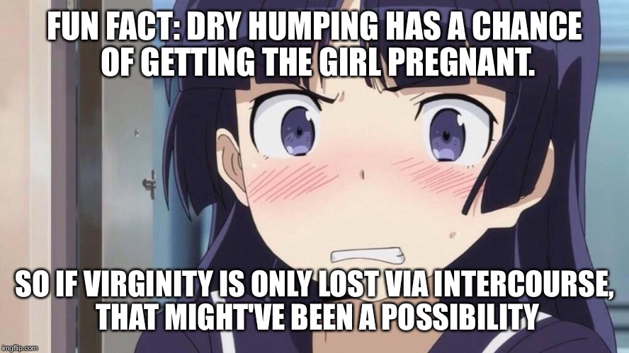 FUN FACT: DRY HUMPING HAS A CHANCE OF GETTING THE GIRL PREGNANT. SO IF VIRGINITY IS ONLY LOST VIA INTERCOURSE, THAT MIGHT'VE BEEN A POSSIBIL | image tagged in embarrassed anime girl | made w/ Imgflip meme maker