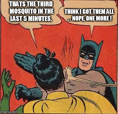Batman Slapping Robin Meme | THATS THE THIRD MOSQUITO IN THE LAST 5 MINUTES. THINK I GOT THEM ALL . . NOPE, ONE MORE ! | image tagged in memes,batman slapping robin | made w/ Imgflip meme maker