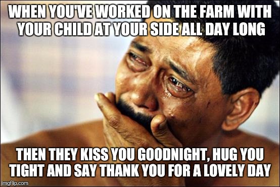 What school holidays were made for | WHEN YOU'VE WORKED ON THE FARM WITH YOUR CHILD AT YOUR SIDE ALL DAY LONG; THEN THEY KISS YOU GOODNIGHT, HUG YOU TIGHT AND SAY THANK YOU FOR A LOVELY DAY | image tagged in crying | made w/ Imgflip meme maker