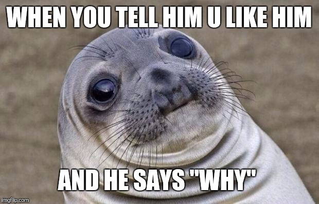 Awkward Moment Sealion Meme | WHEN YOU TELL HIM U LIKE HIM; AND HE SAYS "WHY" | image tagged in memes,awkward moment sealion | made w/ Imgflip meme maker