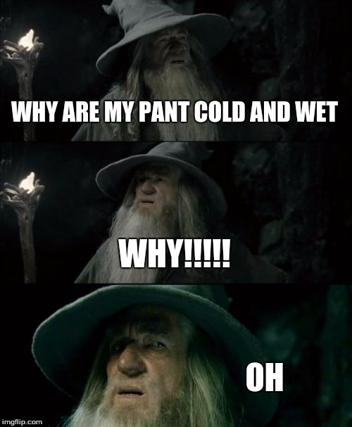 Confused Gandalf | WHY ARE MY PANT COLD AND WET; WHY!!!!! OH | image tagged in memes,confused gandalf | made w/ Imgflip meme maker