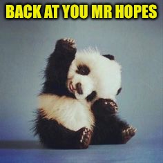 BACK AT YOU MR HOPES | made w/ Imgflip meme maker