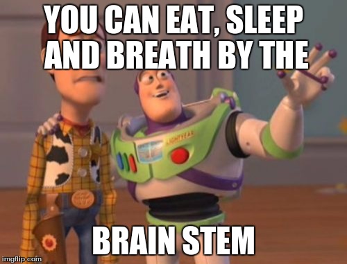 X, X Everywhere Meme | YOU CAN EAT, SLEEP AND BREATH BY THE; BRAIN STEM | image tagged in memes,x x everywhere | made w/ Imgflip meme maker