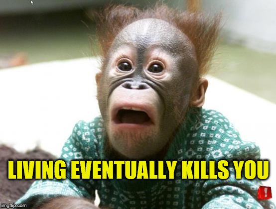 Monkey shocked to hear living eventually kills you | LIVING EVENTUALLY KILLS YOU | image tagged in shocked monkey,memes,funny memes,living kills you | made w/ Imgflip meme maker
