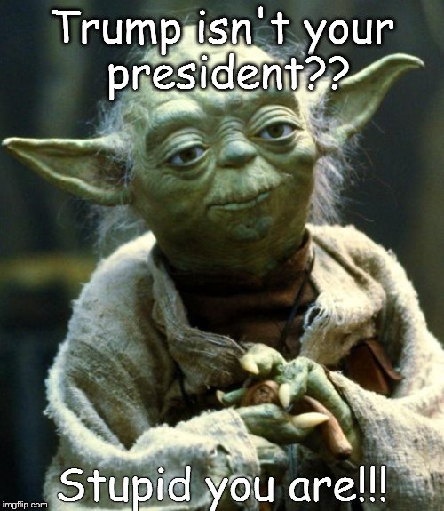 Star Wars Yoda Meme | Trump isn't your president?? Stupid you are!!! | image tagged in memes,star wars yoda | made w/ Imgflip meme maker