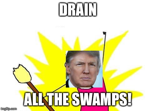 Goodbye swamps... | DRAIN; ALL THE SWAMPS! | image tagged in memes,x all the y | made w/ Imgflip meme maker