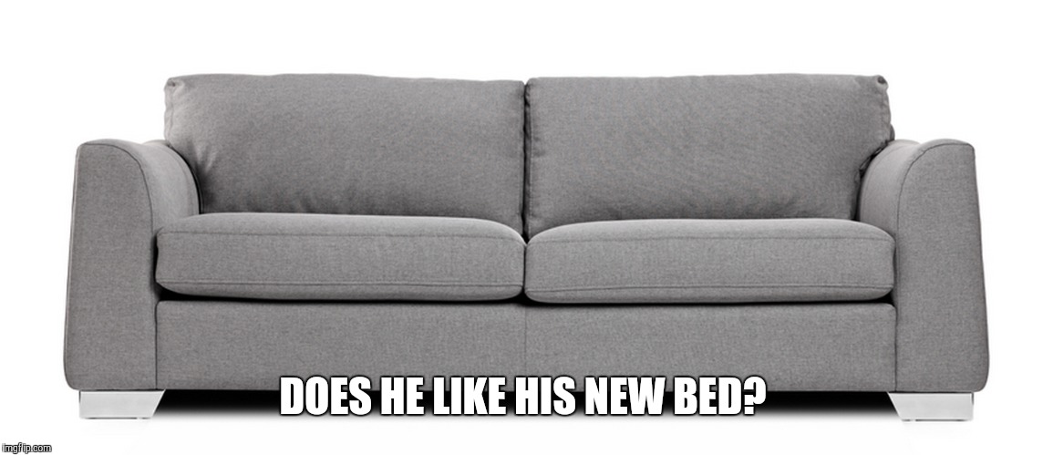 DOES HE LIKE HIS NEW BED? | made w/ Imgflip meme maker