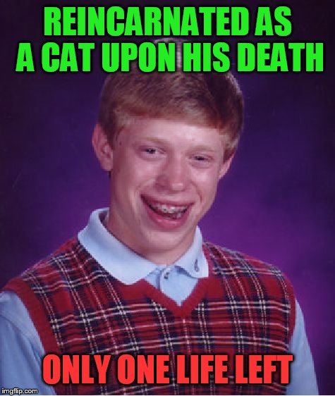 Bad Luck Brian | REINCARNATED AS A CAT UPON HIS DEATH; ONLY ONE LIFE LEFT | image tagged in memes,bad luck brian | made w/ Imgflip meme maker
