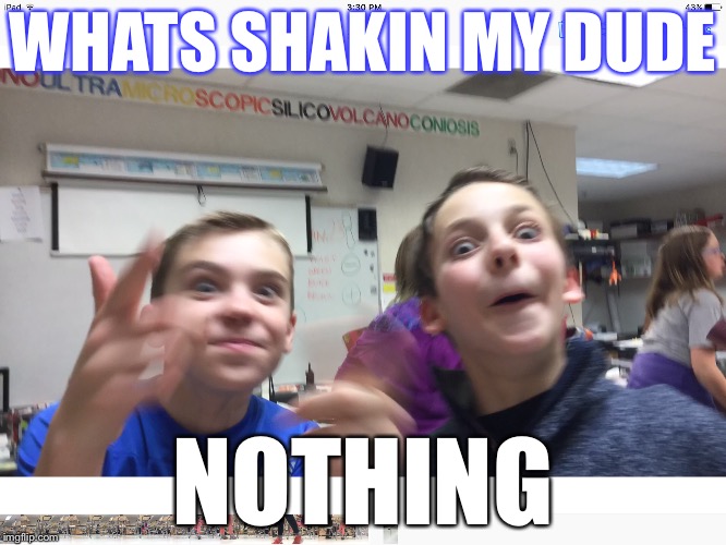 WHATS SHAKIN MY DUDE; NOTHING | image tagged in funny,clean | made w/ Imgflip meme maker