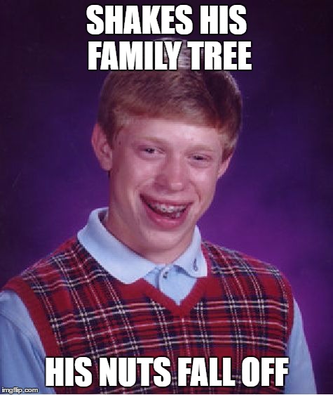 Bad Luck Brian Meme | SHAKES HIS FAMILY TREE HIS NUTS FALL OFF | image tagged in memes,bad luck brian | made w/ Imgflip meme maker
