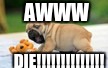 pug | AWWW; DIE!!!!!!!!!!!!!! | image tagged in pug | made w/ Imgflip meme maker