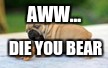 pug | AWW... DIE YOU BEAR | image tagged in pug | made w/ Imgflip meme maker