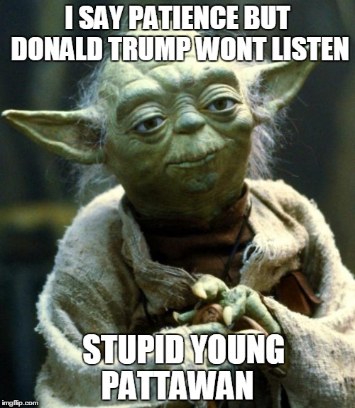 Star Wars Yoda Meme | I SAY PATIENCE BUT DONALD TRUMP WONT LISTEN; STUPID YOUNG PATTAWAN | image tagged in memes,star wars yoda | made w/ Imgflip meme maker