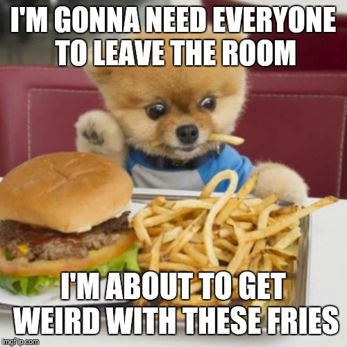 I'M GONNA NEED EVERYONE TO LEAVE THE ROOM; I'M ABOUT TO GET WEIRD WITH THESE FRIES | image tagged in dog | made w/ Imgflip meme maker