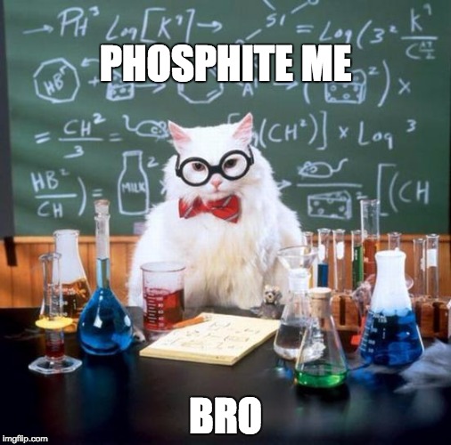 Chemistry Cat Meme | PHOSPHITE ME; BRO | image tagged in memes,chemistry cat | made w/ Imgflip meme maker