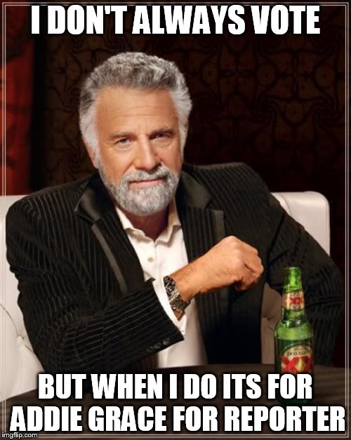 The Most Interesting Man In The World Meme | I DON'T ALWAYS VOTE; BUT WHEN I DO ITS FOR ADDIE GRACE FOR REPORTER | image tagged in memes,the most interesting man in the world | made w/ Imgflip meme maker