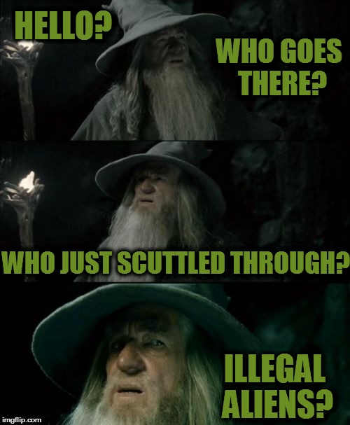 Confused Gandalf Meme | HELLO? WHO GOES THERE? WHO JUST SCUTTLED THROUGH? ILLEGAL ALIENS? | image tagged in memes,confused gandalf | made w/ Imgflip meme maker