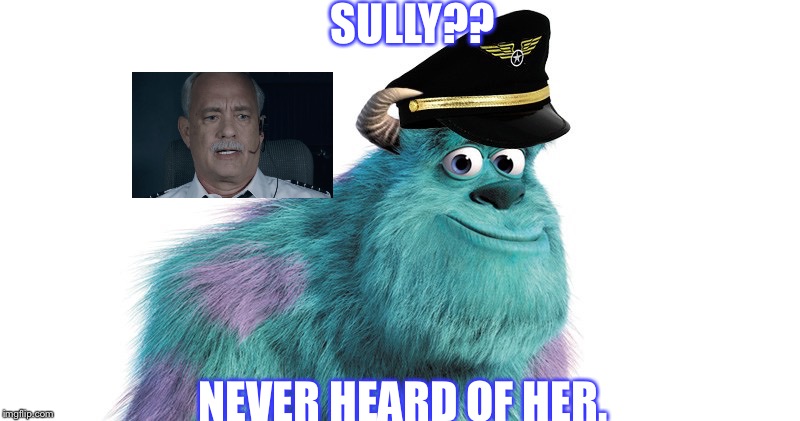 The two Sully's | SULLY?? NEVER HEARD OF HER. | image tagged in captain sully,monsters inc,sully | made w/ Imgflip meme maker