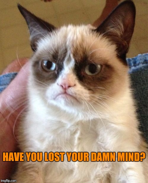 Grumpy Cat Meme | HAVE YOU LOST YOUR DAMN MIND? | image tagged in memes,grumpy cat | made w/ Imgflip meme maker