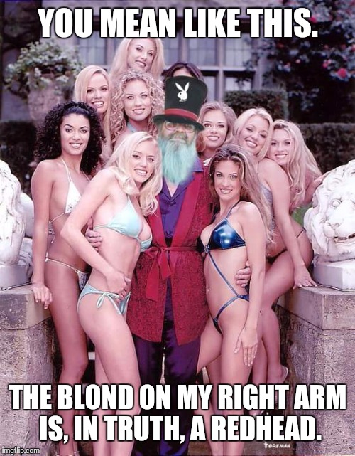 YOU MEAN LIKE THIS. THE BLOND ON MY RIGHT ARM IS, IN TRUTH, A REDHEAD. | made w/ Imgflip meme maker