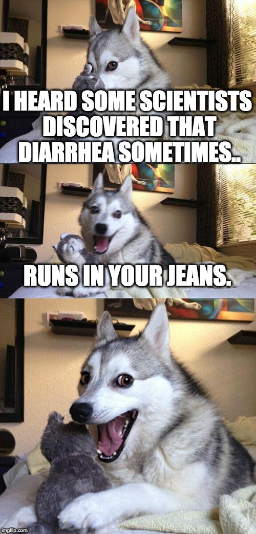 Bad Pun Dog | I HEARD SOME SCIENTISTS DISCOVERED THAT DIARRHEA SOMETIMES.. RUNS IN YOUR JEANS. | image tagged in memes,bad pun dog | made w/ Imgflip meme maker