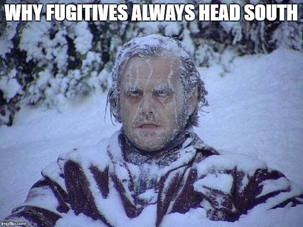 Jack Nicholson The Shining Snow Meme | WHY FUGITIVES ALWAYS HEAD SOUTH | image tagged in memes,jack nicholson the shining snow | made w/ Imgflip meme maker