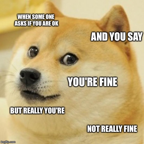 Doge Meme | WHEN SOME ONE ASKS IF YOU ARE OK; AND YOU SAY; YOU'RE FINE; BUT REALLY YOU'RE; NOT REALLY FINE | image tagged in memes,doge | made w/ Imgflip meme maker