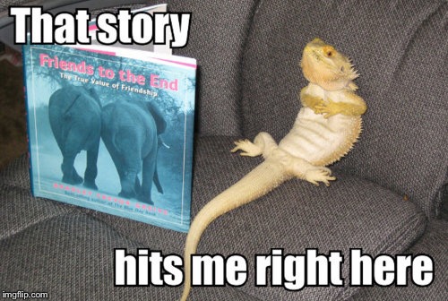 THAT STORY HITS ME RIGHT HERE | made w/ Imgflip meme maker