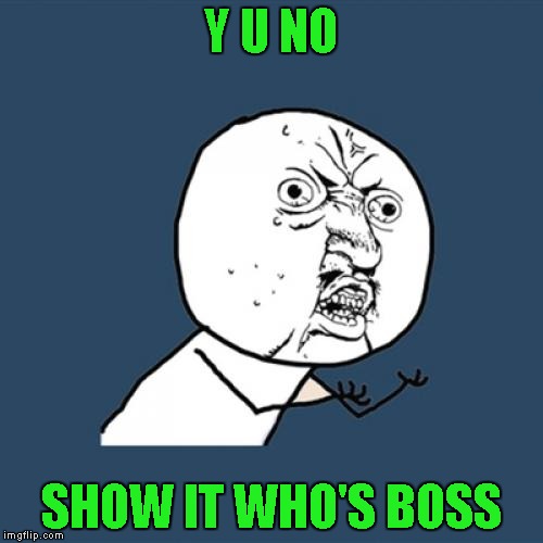 Y U No Meme | Y U NO SHOW IT WHO'S BOSS | image tagged in memes,y u no | made w/ Imgflip meme maker