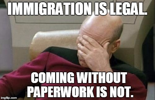 Captain Picard Facepalm Meme | IMMIGRATION IS LEGAL. COMING WITHOUT PAPERWORK IS NOT. | image tagged in memes,captain picard facepalm | made w/ Imgflip meme maker