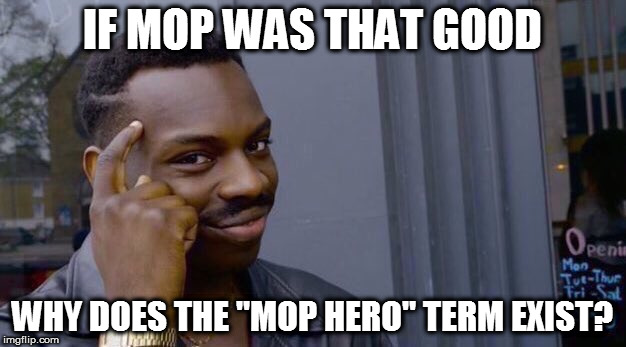 Lifehacks | IF MOP WAS THAT GOOD; WHY DOES THE "MOP HERO" TERM EXIST? | image tagged in lifehacks | made w/ Imgflip meme maker