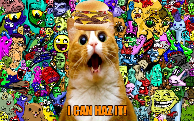Shocked kitty | I CAN HAZ IT! | image tagged in shocked kitty | made w/ Imgflip meme maker