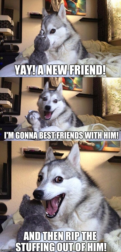 Bad Pun Dog Meme | YAY! A NEW FRIEND! I'M GONNA BEST FRIENDS WITH HIM! AND THEN RIP THE STUFFING OUT OF HIM! | image tagged in memes,bad pun dog | made w/ Imgflip meme maker