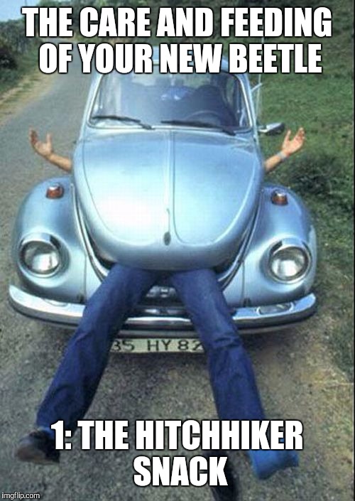 The Low carb diet: how it can affect you. | THE CARE AND FEEDING OF YOUR NEW BEETLE; 1: THE HITCHHIKER SNACK | image tagged in volkswagon,vw beetle,cannibalism | made w/ Imgflip meme maker