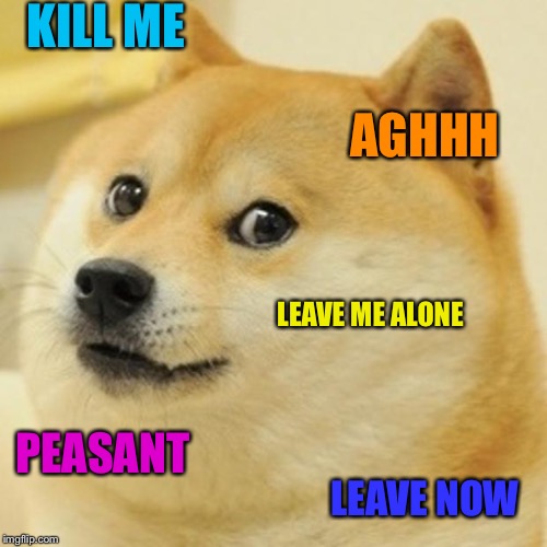 Doge Meme | KILL ME; AGHHH; LEAVE ME ALONE; PEASANT; LEAVE NOW | image tagged in memes,doge | made w/ Imgflip meme maker