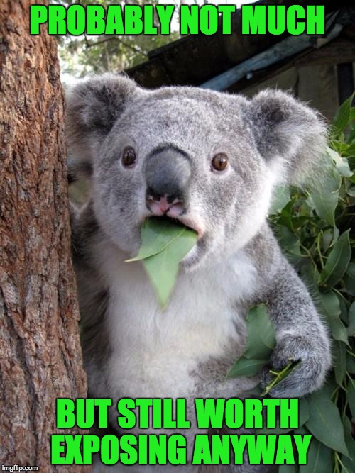 Surprised Koala | PROBABLY NOT MUCH; BUT STILL WORTH EXPOSING ANYWAY | image tagged in memes,surprised koala | made w/ Imgflip meme maker
