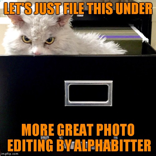LET'S JUST FILE THIS UNDER MORE GREAT PHOTO EDITING BY ALPHABITTER | image tagged in pompous lets file that under | made w/ Imgflip meme maker