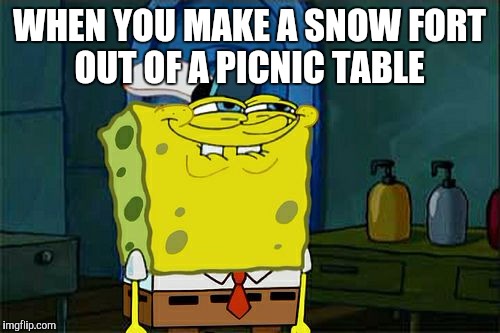 Don't You Squidward | WHEN YOU MAKE A SNOW FORT OUT OF A PICNIC TABLE | image tagged in memes,dont you squidward | made w/ Imgflip meme maker