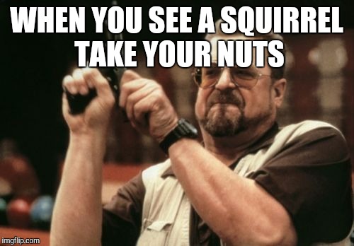 Am I The Only One Around Here Meme | WHEN YOU SEE A SQUIRREL TAKE YOUR NUTS | image tagged in memes,am i the only one around here | made w/ Imgflip meme maker