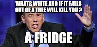 all the times | WHATS WHITE AND IF IT FALLS OUT OF A TREE WILL KILL YOU ? A FRIDGE | image tagged in all the times | made w/ Imgflip meme maker