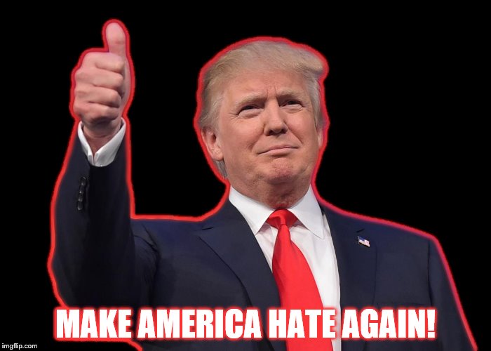 DONALD TRUMP HATE | MAKE AMERICA HATE AGAIN! | image tagged in donald trump,donald trump you're fired,donald trump the clown | made w/ Imgflip meme maker